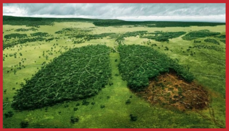 9 Powerful Environmental Ads Designed to Make You Reflect-Markedium