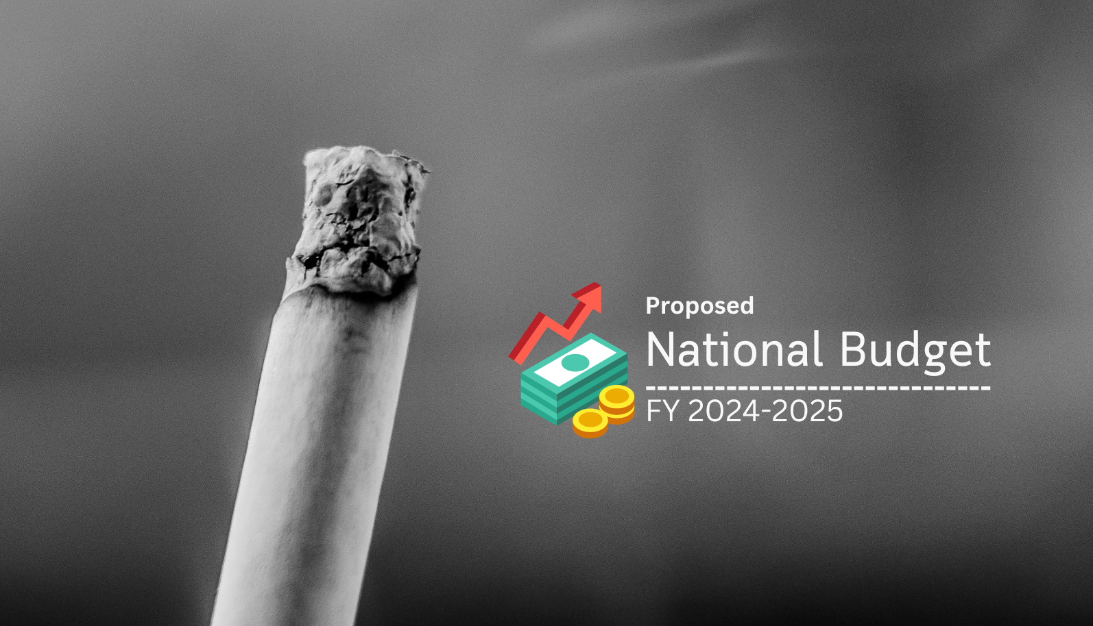 Proposed National Budget 2024-2025: Cigarettes to Become More Expensive-Markedium